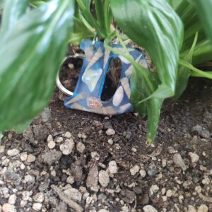 “açık mavi deniz” epoksi “Ç” harf anahtarlık (kopya)