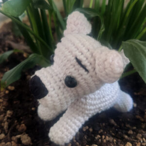 hayalperest köpekçik