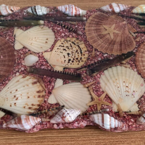 DENİZ KABUK OLUŞUMLU TEPSİ 1