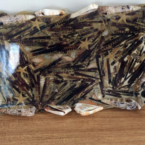 denİz kabuk oluŞumlu tepsİ 3 (kopya)