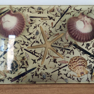 denİz kabuk oluŞumlu tepsİ 4 (kopya)