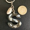 s (3)